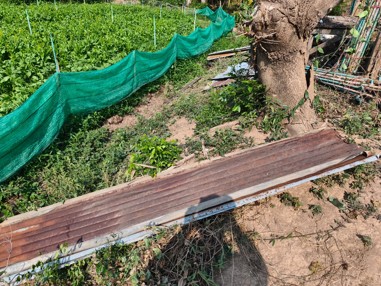 catalogs_file_790_55_33_6164.webp