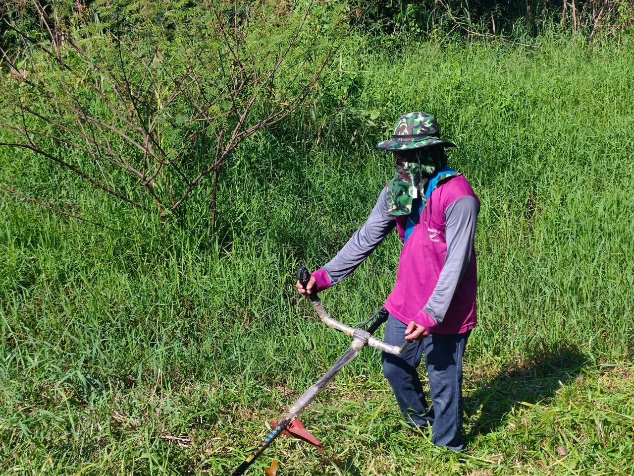 catalogs_file_908_40_50_628698.webp
