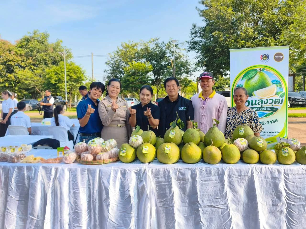 catalogs_file_909_49_34_206476.webp